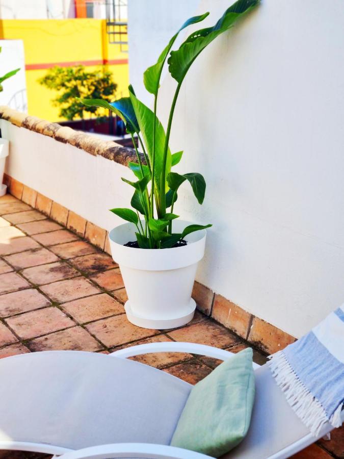 Loft & Private Rooftop With Bbq Севилья Экстерьер фото